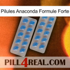 Anaconda Strong Formula Pills 23